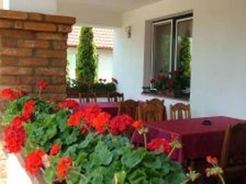 Verba Tanya Bed & Breakfast Kotaj Exterior photo